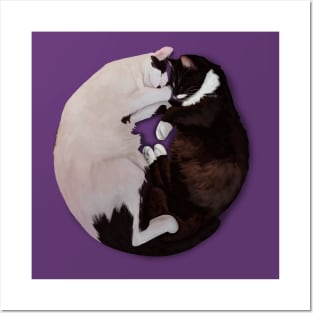 Yin Yang Cats Posters and Art